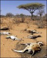 /album/fotogaleria%3a-clase-n%c2%b010-/a41390008-droughtlong-pa-jpg/